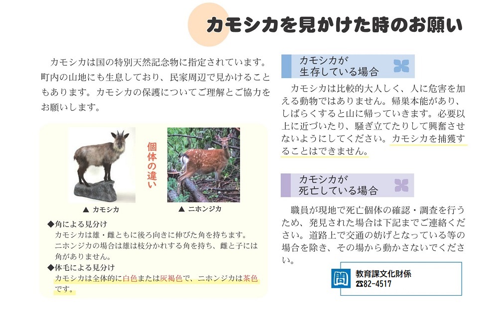 カモシカを見かけた時のお願いのチラシ
