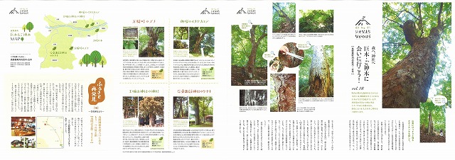 平成30年9月号　森へ、神社へ　巨木・ご神木に会いに行こう！